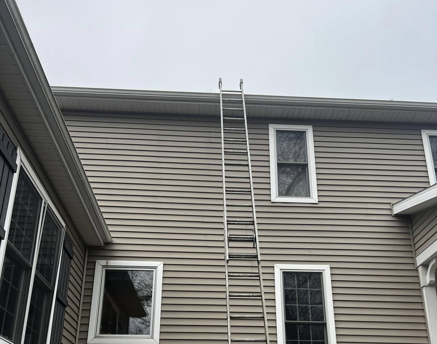 Roof Cleaning